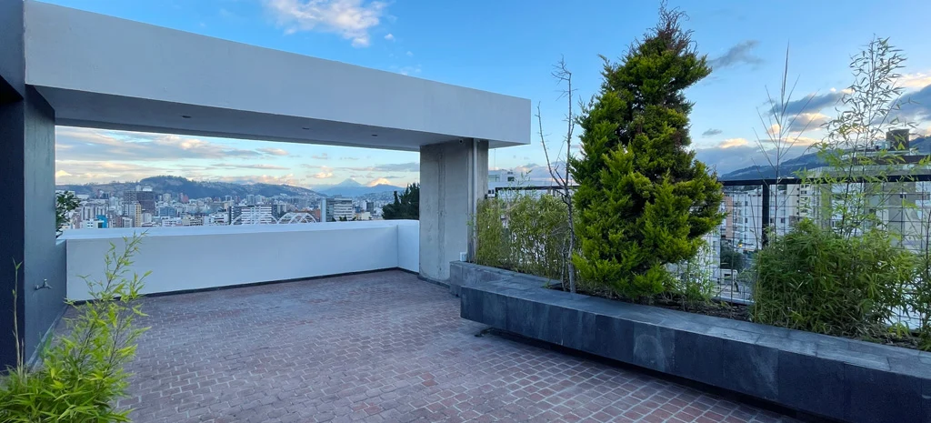 Fotografía de la terraza de Kamay: piso de ladrillo, muro blanco, jardinera oscura con arbustos y vista a la ciudad.